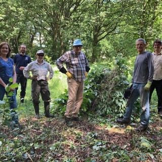 Restoring Valley Brook