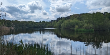 Ponds