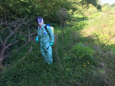 Invasive non-native species