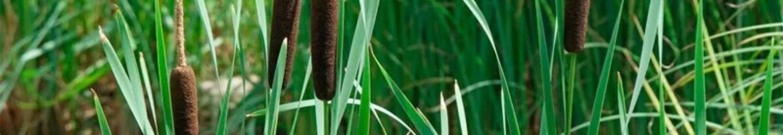 <h2>Grants for Unproductive Fields Guide</h2>