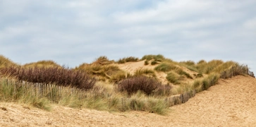 <h3><strong>Sand Dune Management</strong></h3>