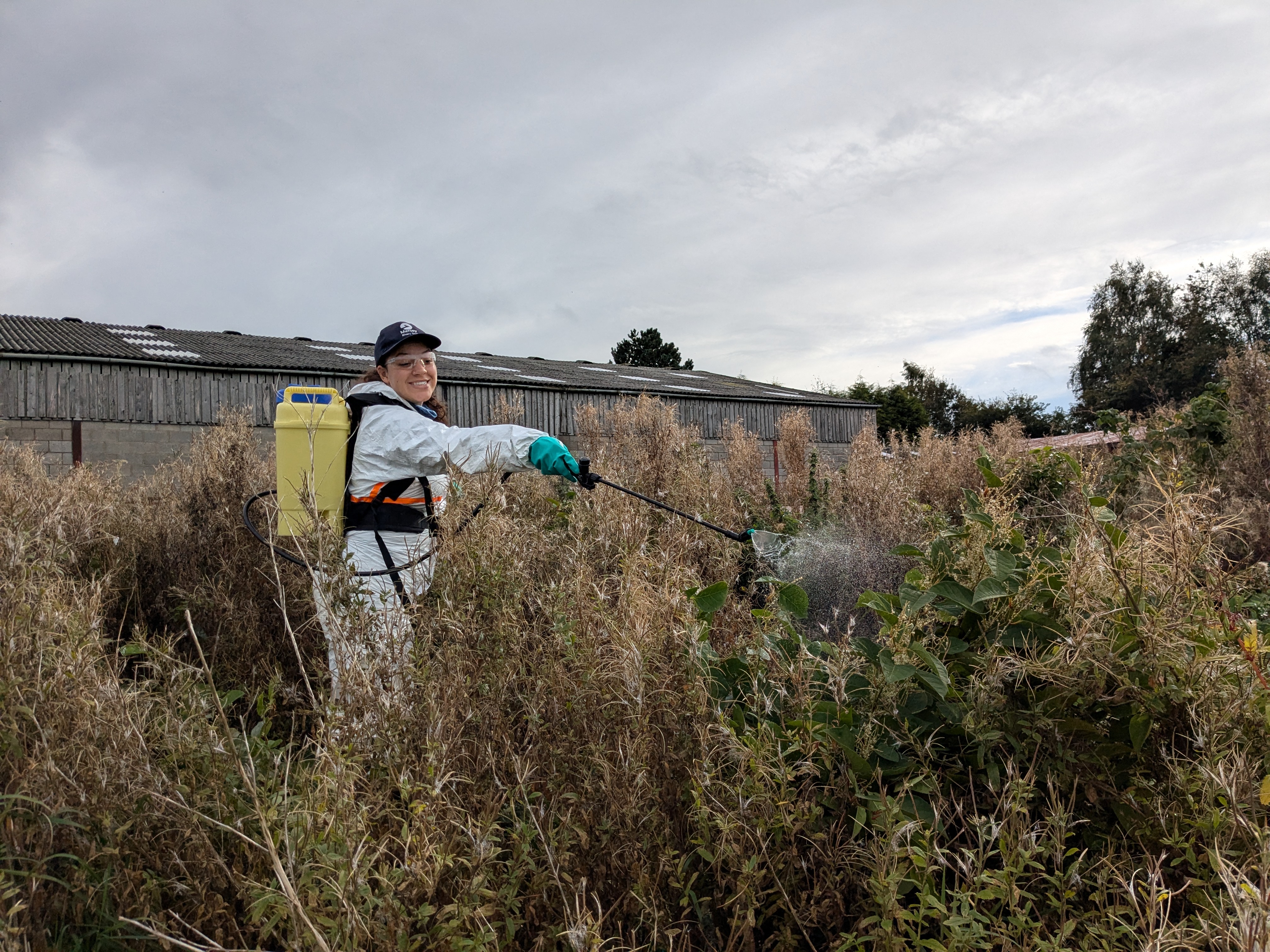 Invasive non-native species