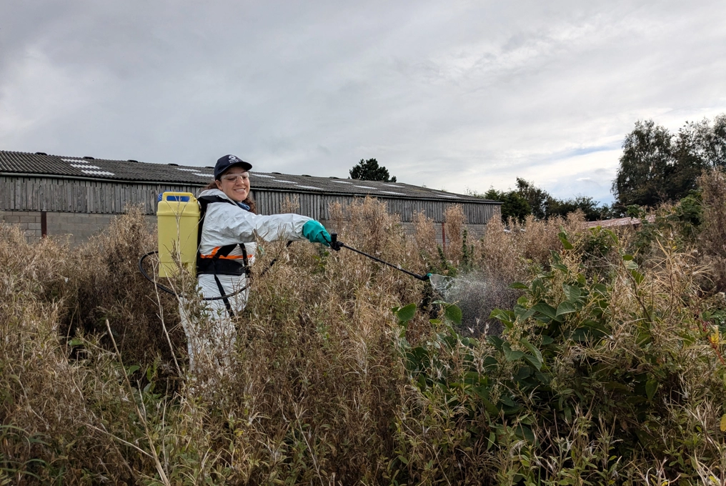 Invasive non-native species