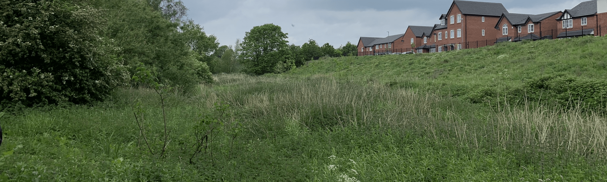 Headbolt Ln Bng 2000X600 Min