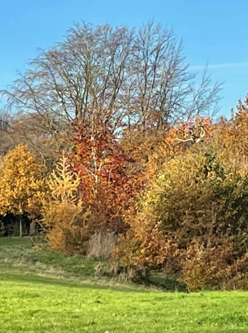 <h2><strong>Catchment Based Approach</strong></h2>