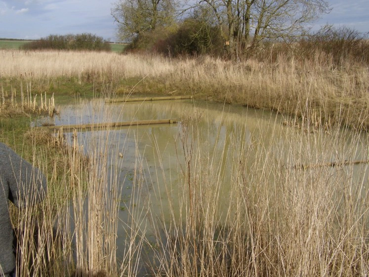 Sediment traps