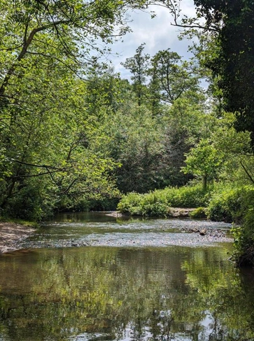 <h3 style="text-align: center;"><strong>MoRPH Surveys</strong></h3>