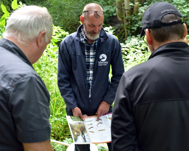 Riverfly ID sheets