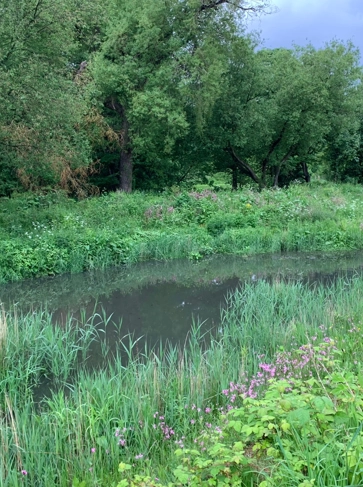 <h3><strong>Reduce flood risk</strong></h3>