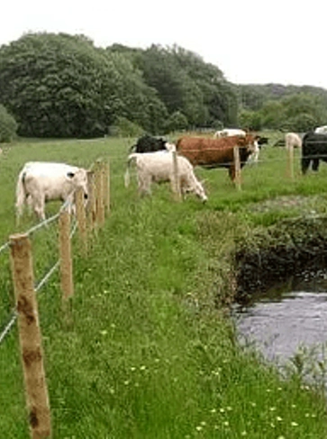 <h3><strong>Upper Weaver Catchment</strong></h3>