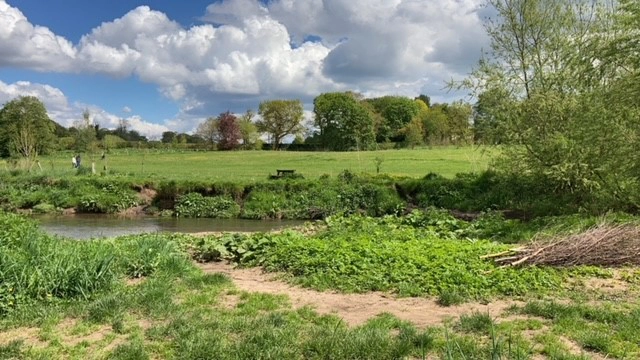 Carrs Park Wetland