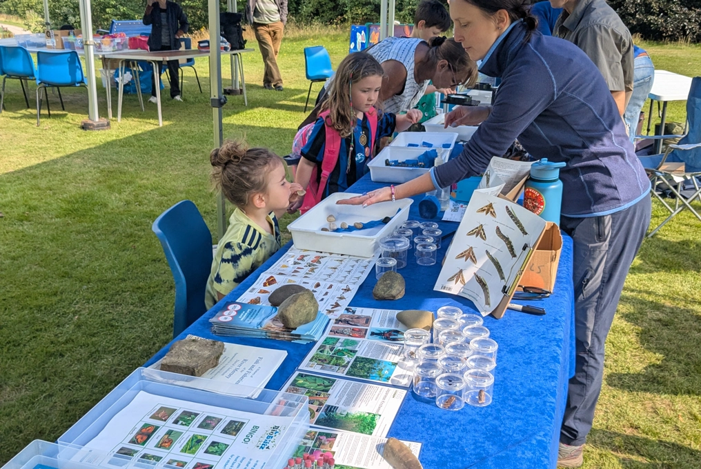 Carrs bioblitz stand