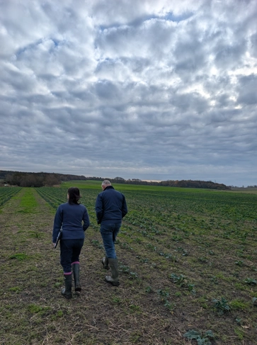 <h3><strong>Water Management Plans</strong></h3>