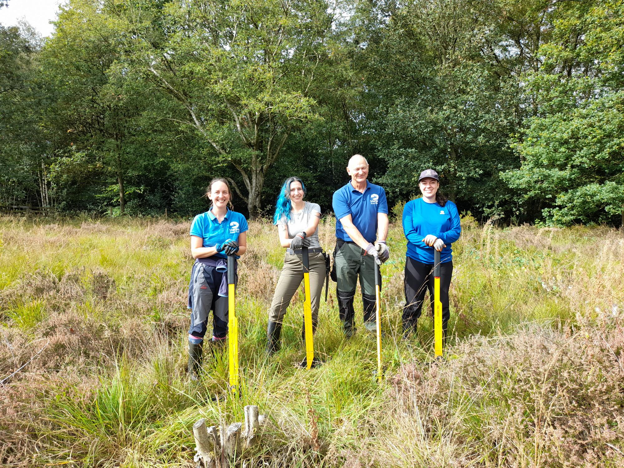 Lindow birch control