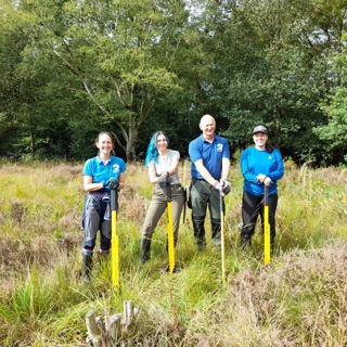 Lindow birch control