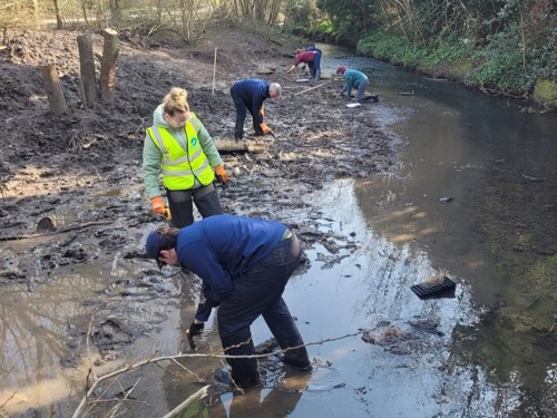 Whittlebrook (1)