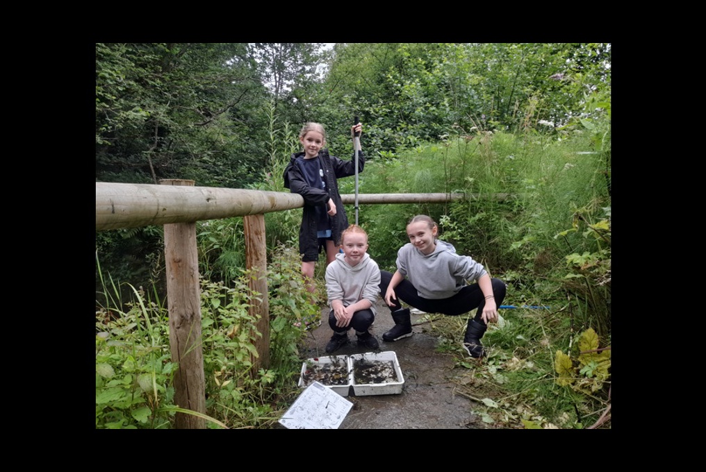 Riverside pond dipping