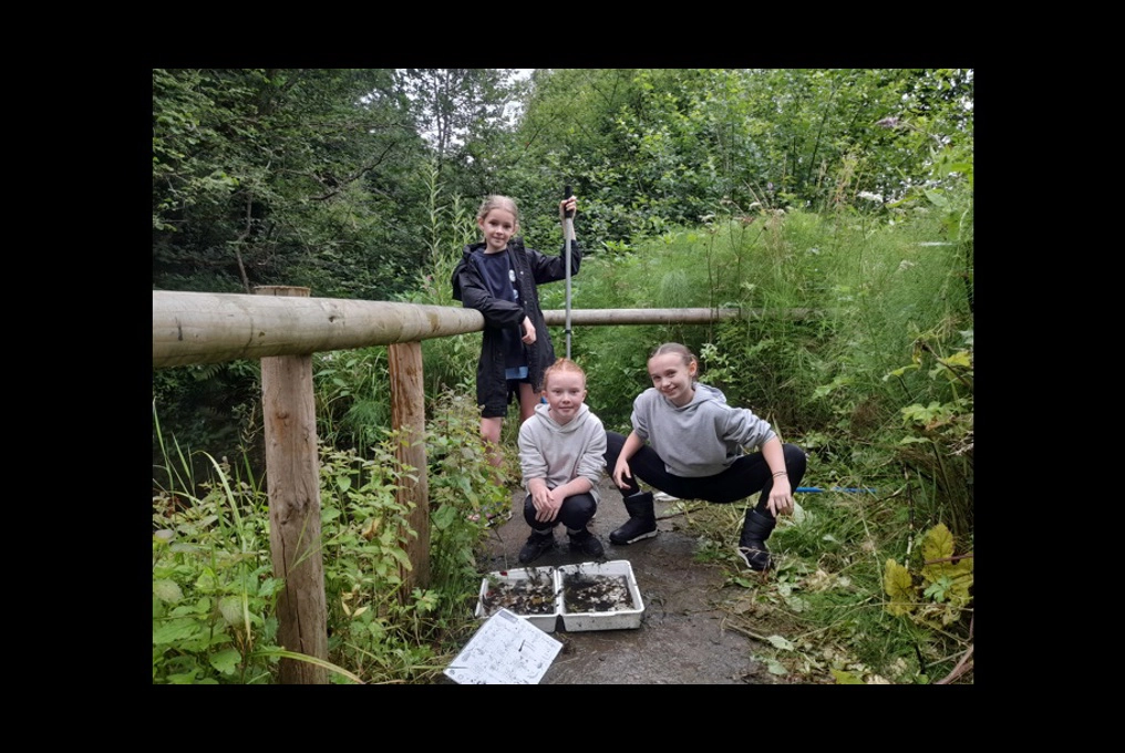 Riverside pond dipping