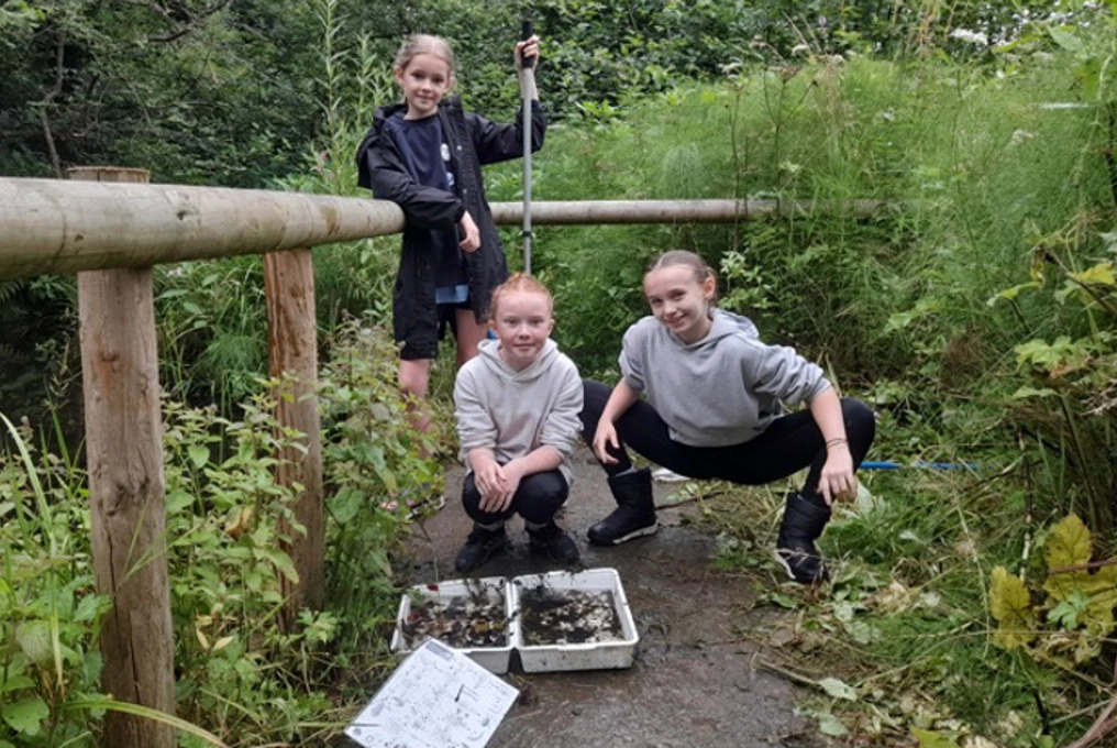 Riverside pond dipping