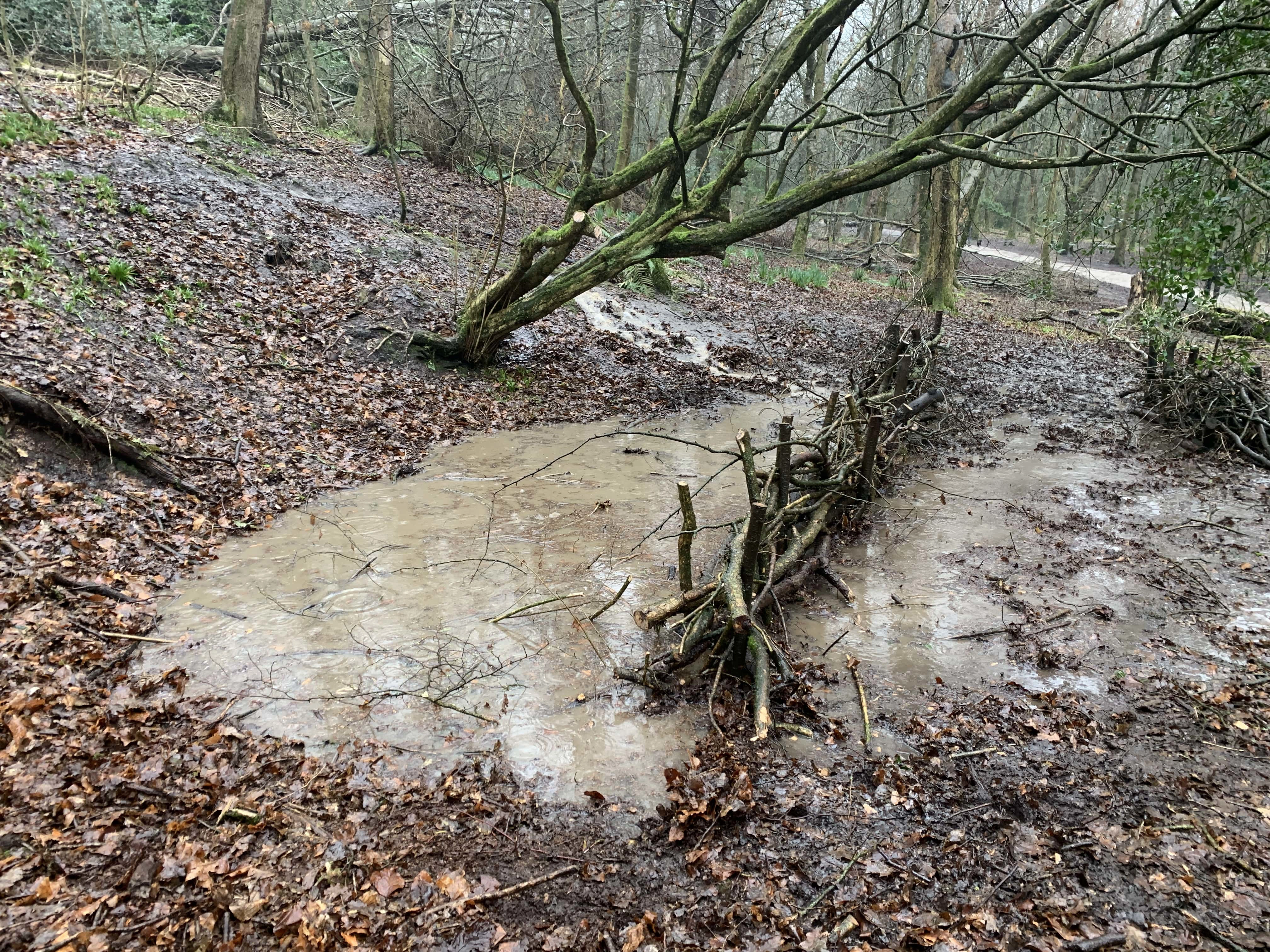 Leaky woody dams