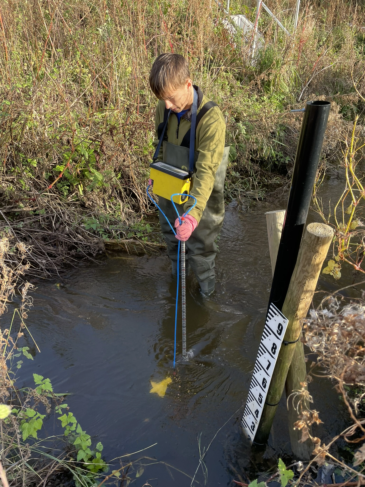 Spot flow monitoring