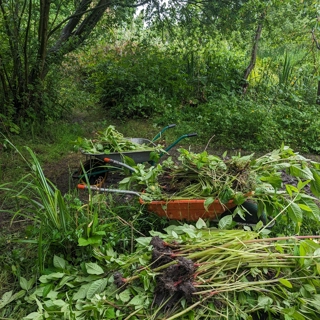 Restoring Valley Brook