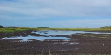<h3><strong>Soil Management</strong></h3>