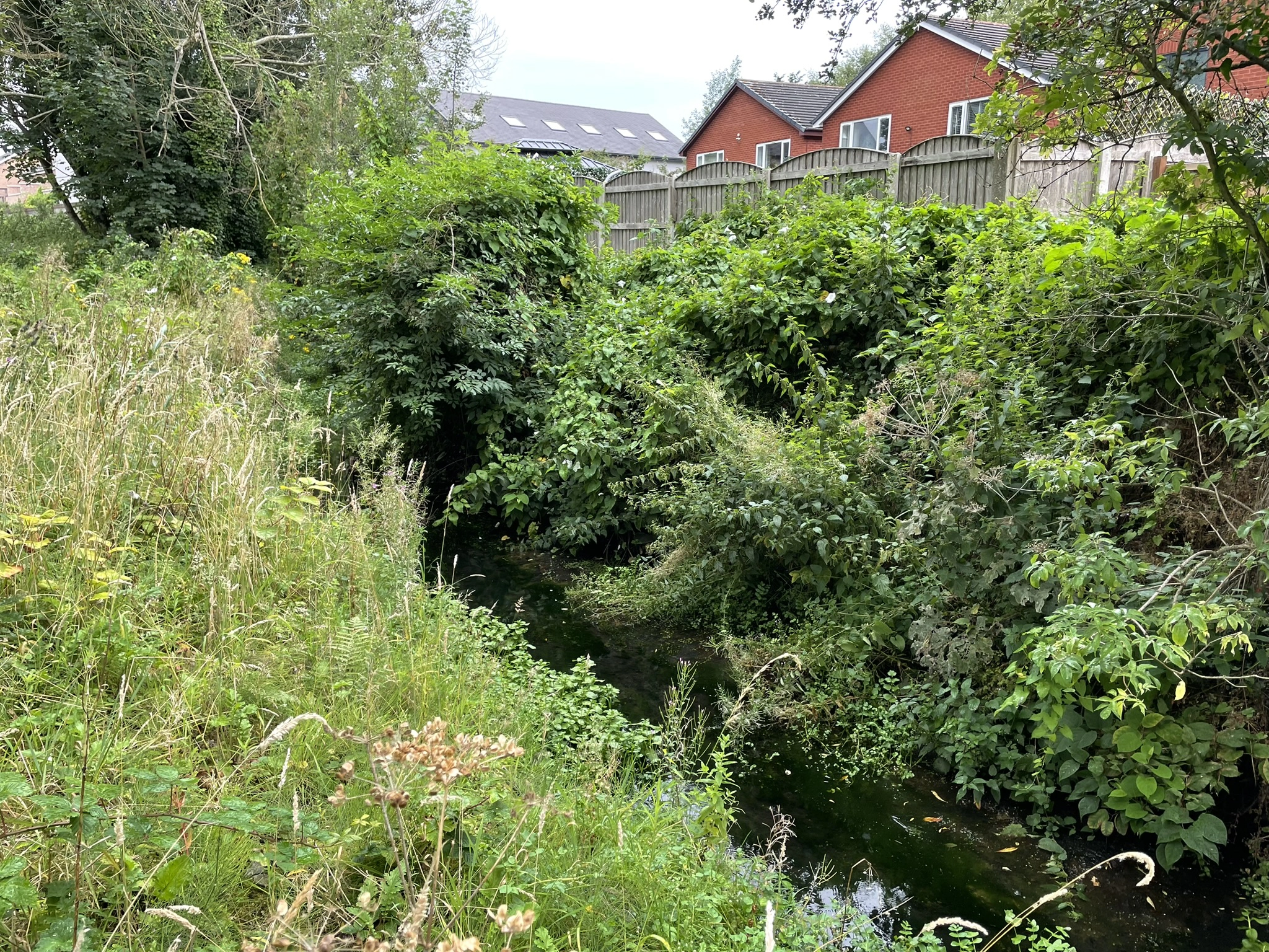 Watchyard Ln