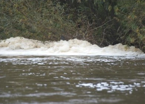 Image of natural foam in a river