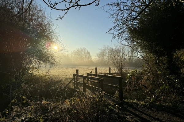 <h3>Upcoming events</h3>