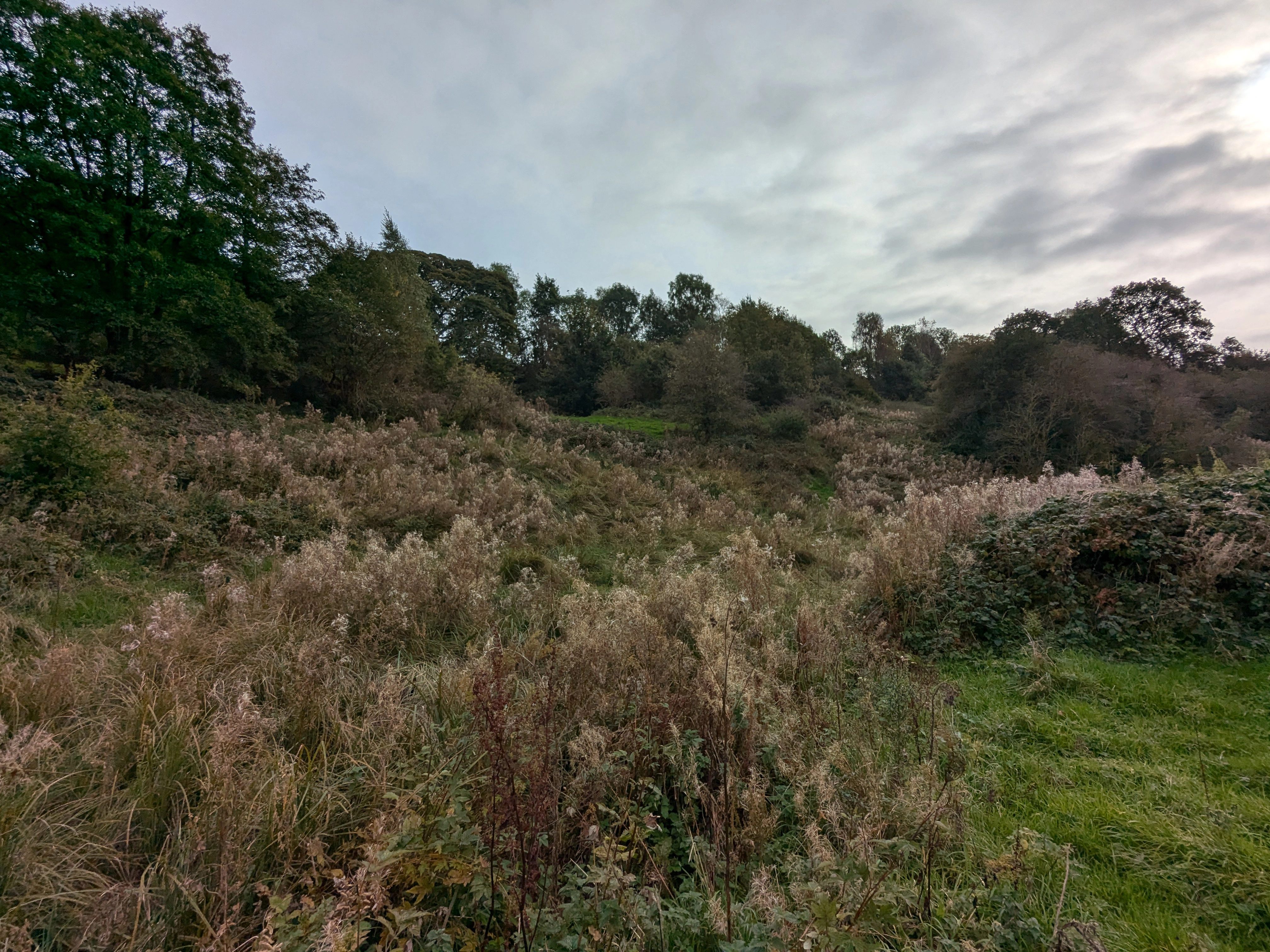 Rossmill