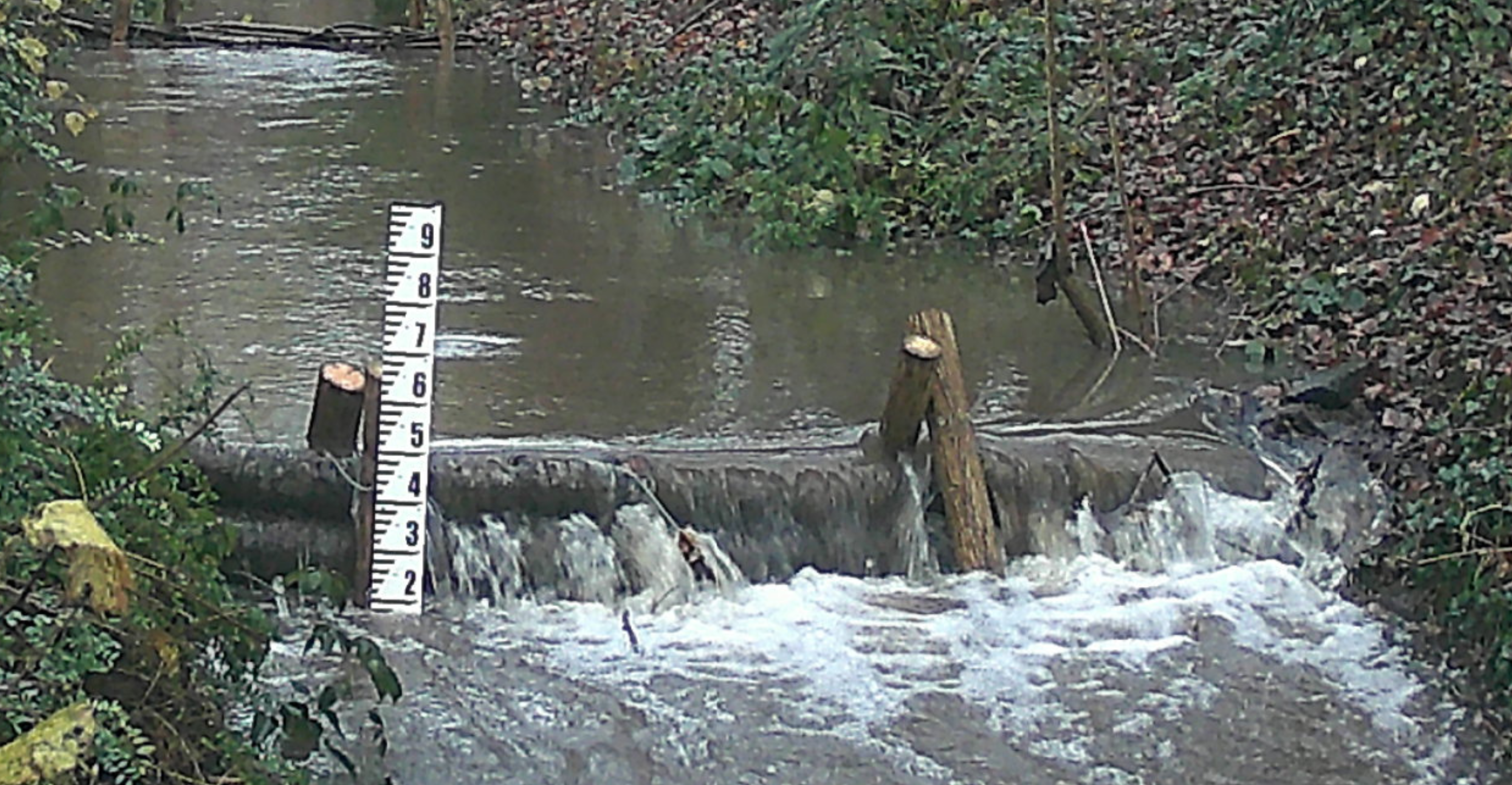 Dumbreeze Wood Leaky Dams