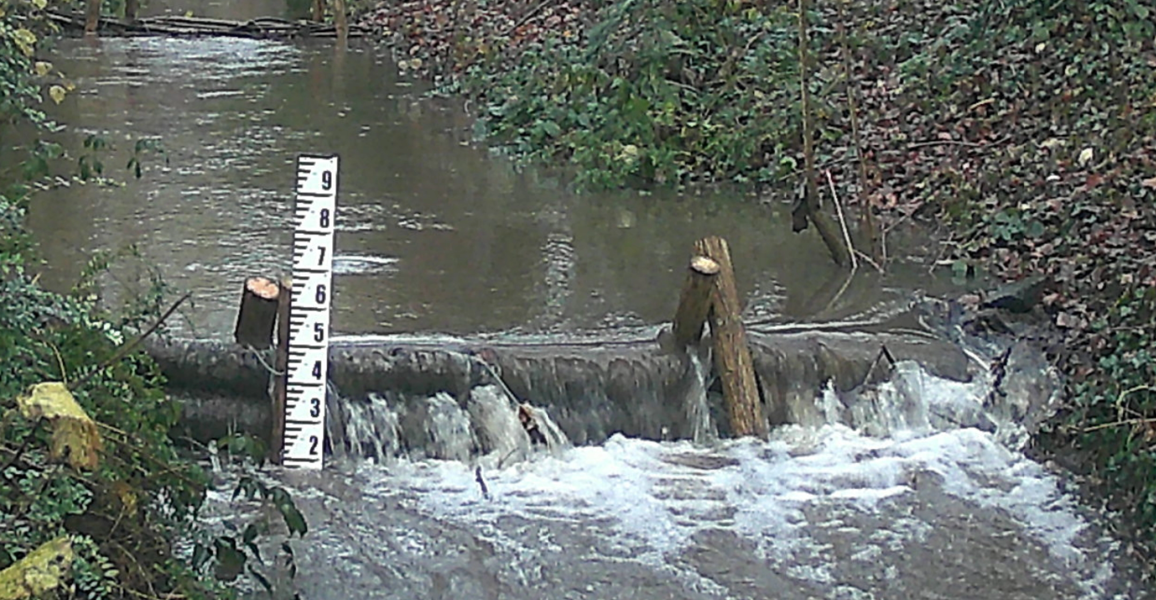 Dumbreeze Wood Leaky Dams