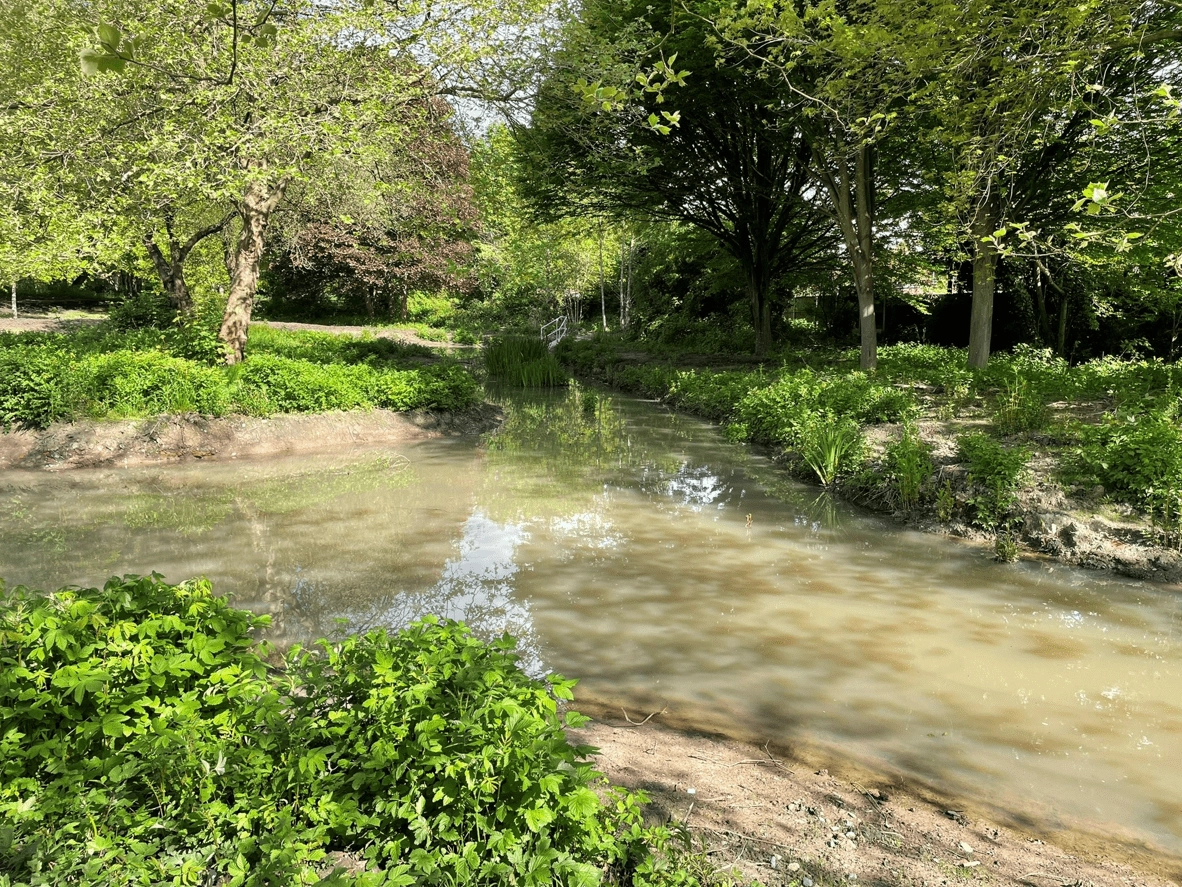 background image