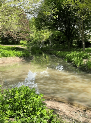 <h3><strong>Improve water quality</strong></h3>