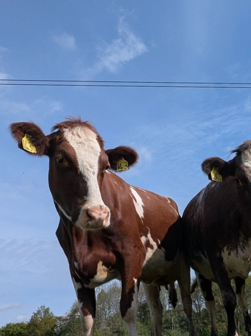<h2><strong>Water Friendly Farming</strong></h2>