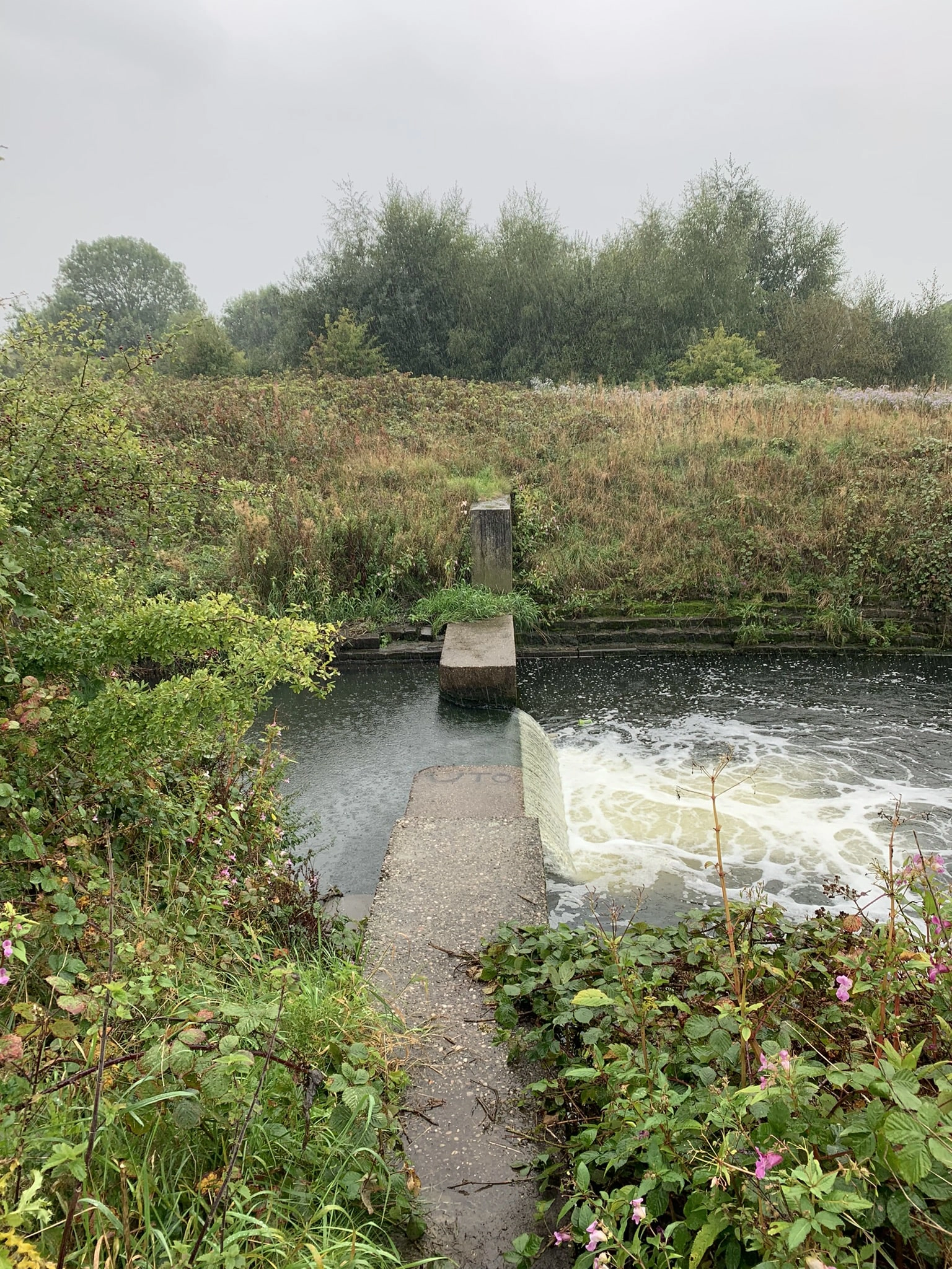 Open Rivers Programme