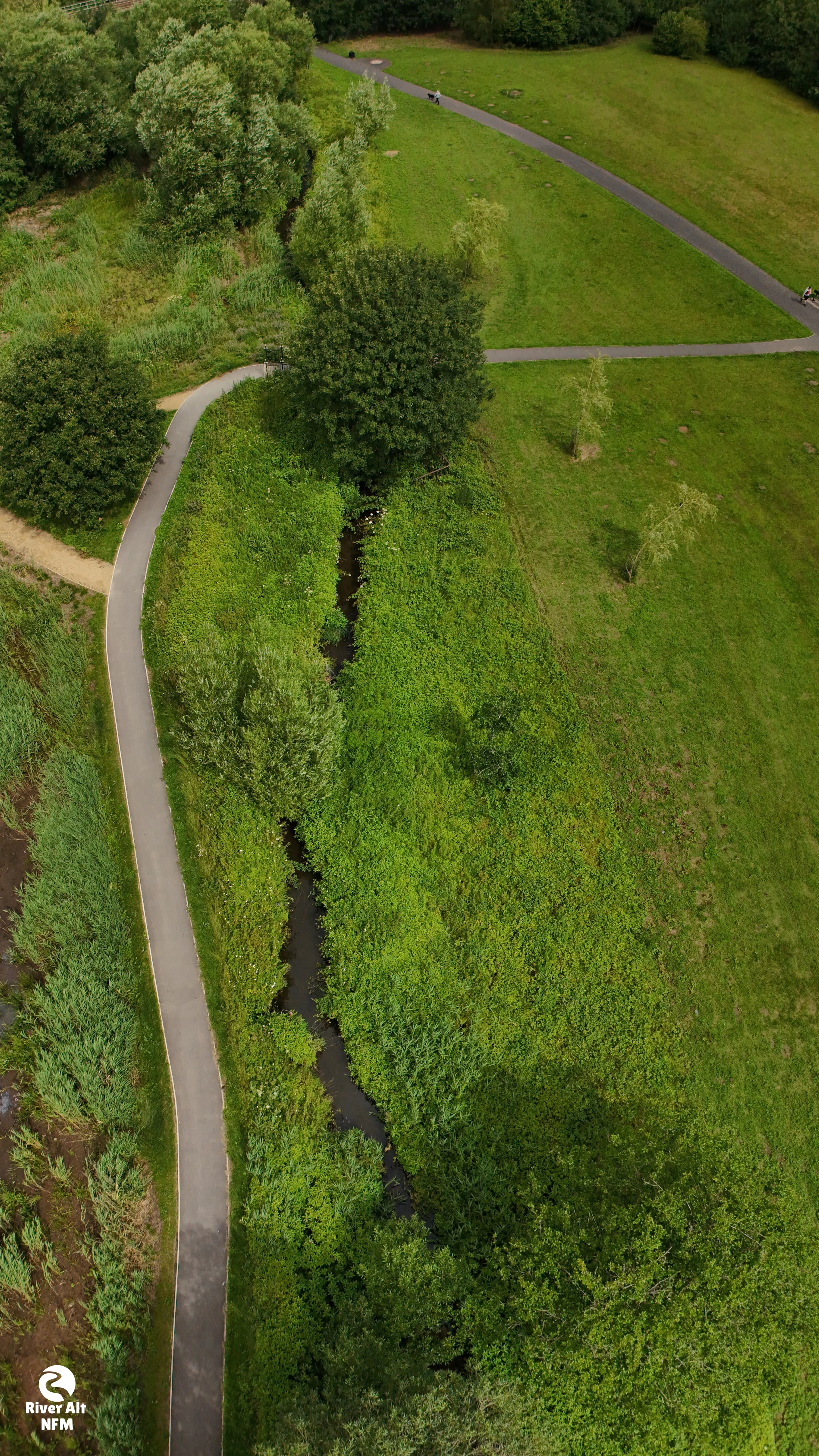 Millbrook Millennium Green