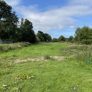 Wildflower Meadow creation