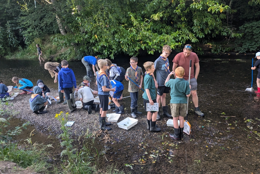 River dipping at the Carrs