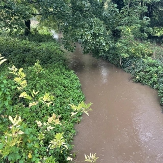Restoring Valley Brook