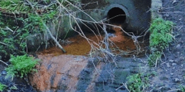 <h4><strong>Outfall Safaris</strong></h4>