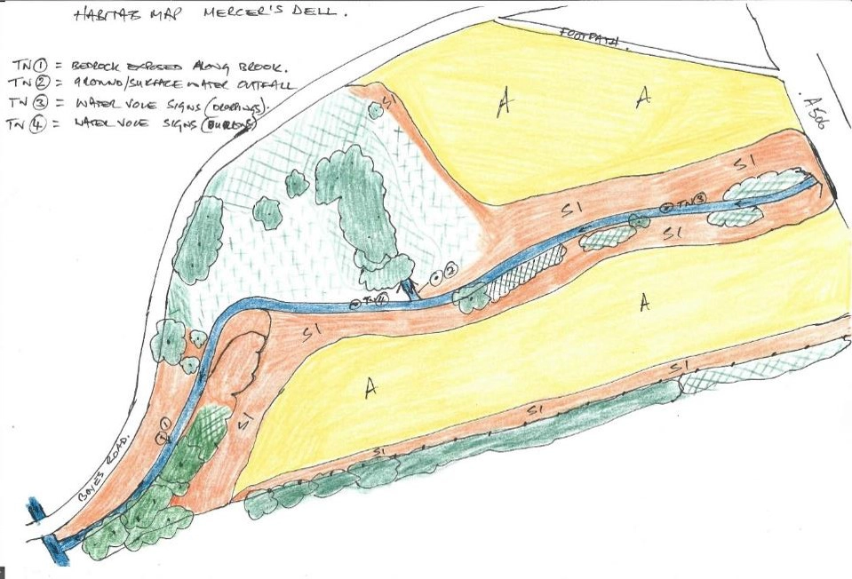 Design and Feasibility process