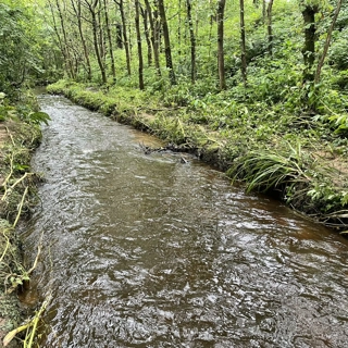Restoring Valley Brook