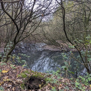 Restoring Valley Brook