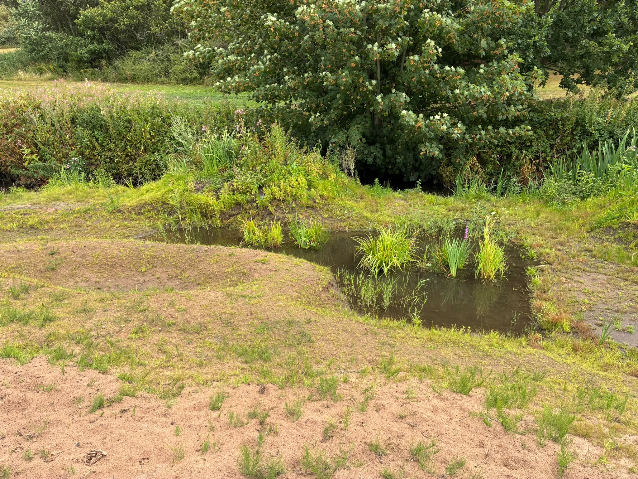Millbrook Millennium Green post-works