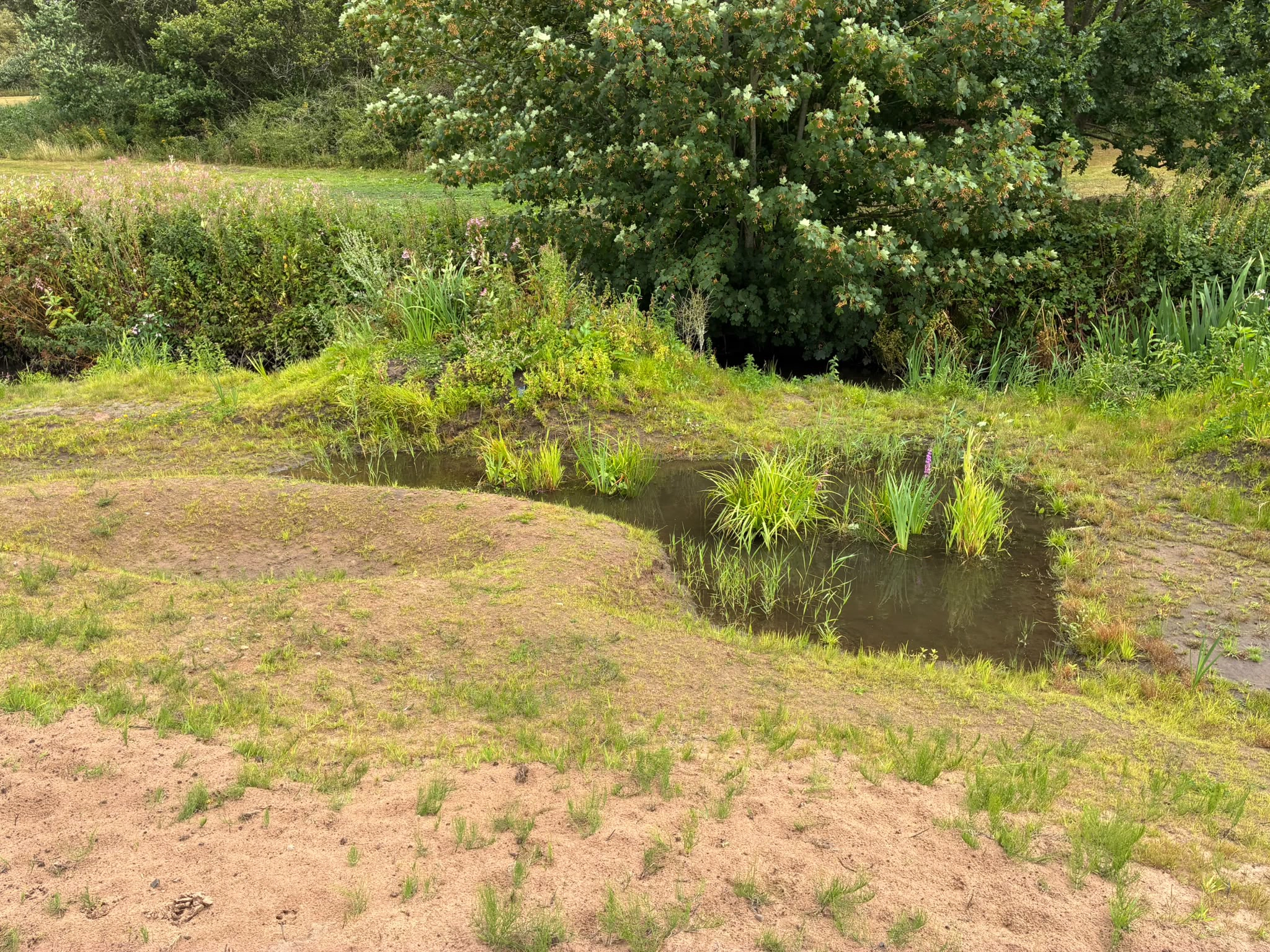 Millbrook Millennium Green post-works