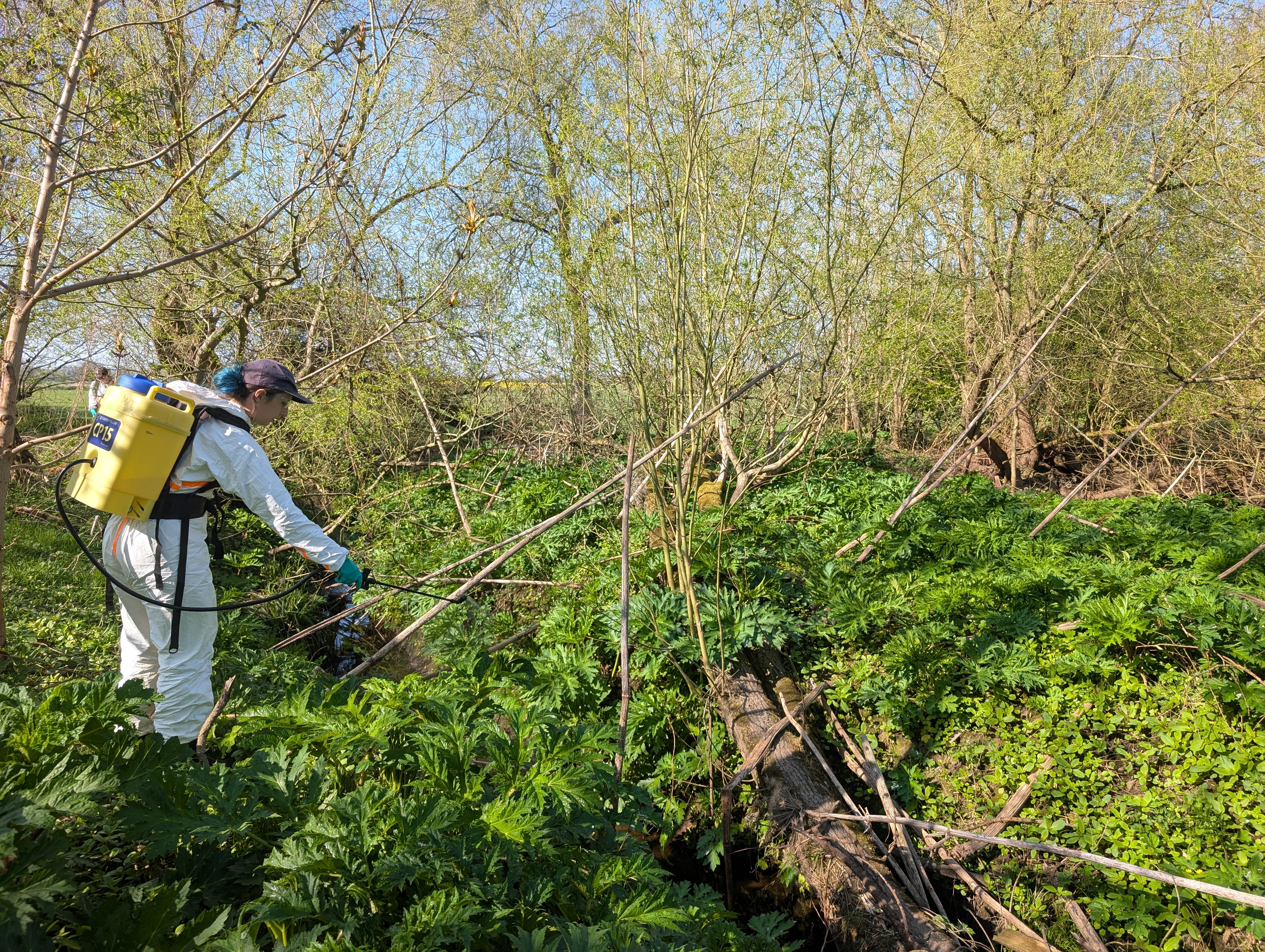 Bollin Native Rivers