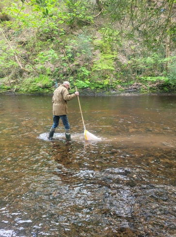 <h3 style="text-align: center;"><strong>Riverfly Monitoring</strong></h3>