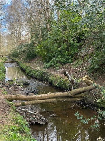 <h3 style="text-align: center;"><strong>Leaky Dams</strong></h3>